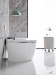 ACIQ | ACiQ Smart Toilet, One-Piece with Bidet, Auto Flush, Heated Seat, LED Display | 
  :root {
    --hvx-golden: #0EA5A6;
    --hvx-slate: #0F172A;
    --hvx-ivory: #F8FAFC;
    --hvx-