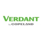 Verdant